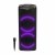 DENVER BPS-352 HORDOZHATÓ PARTY BLUETOOTH HANGSZÓRÓ, LED FÉNYEKKEL, FEKETE